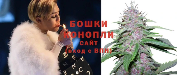 гидра Богородицк