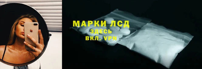 гидра Богородицк