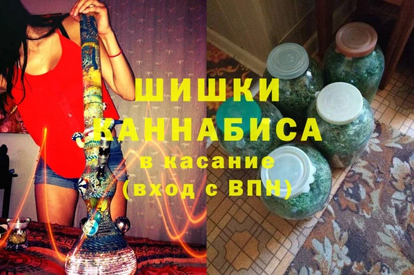 гидра Богородицк