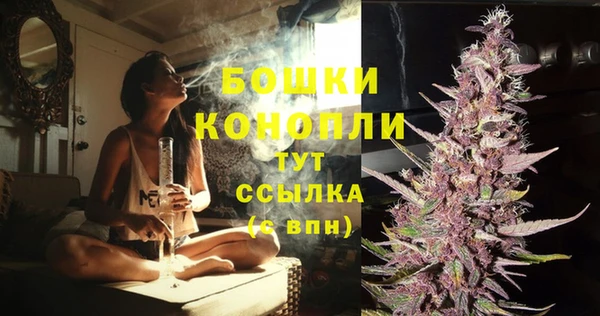 ешки Богданович