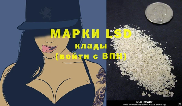ешки Богданович