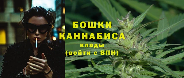 гидра Богородицк
