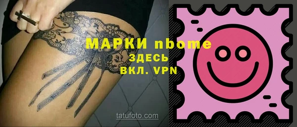 гидра Богородицк